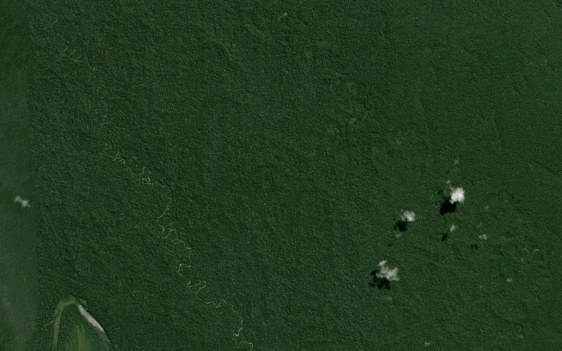 Satellite map of the Rio Suarez
