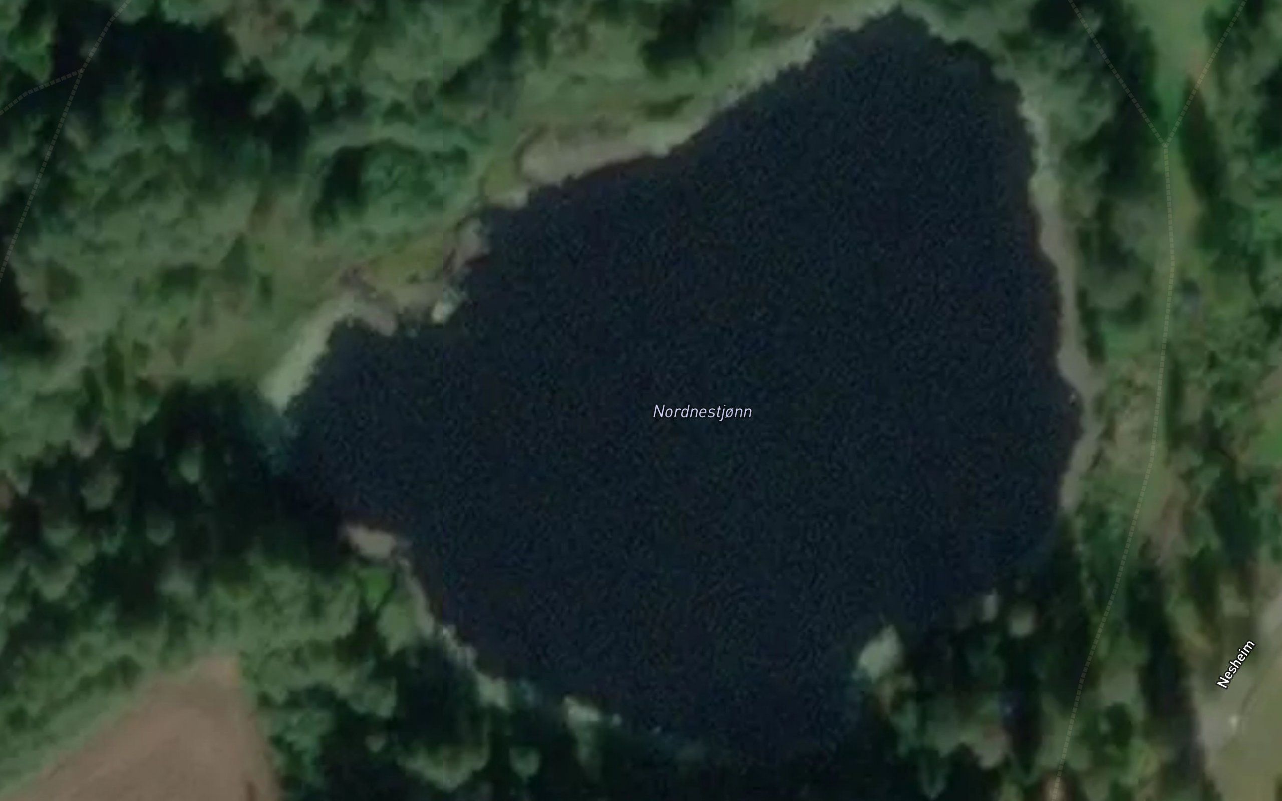 Nordnestjonn