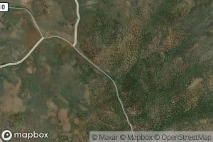 Ellison Spring Number 2