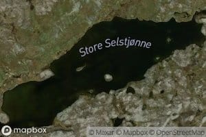 Selstjonne,store