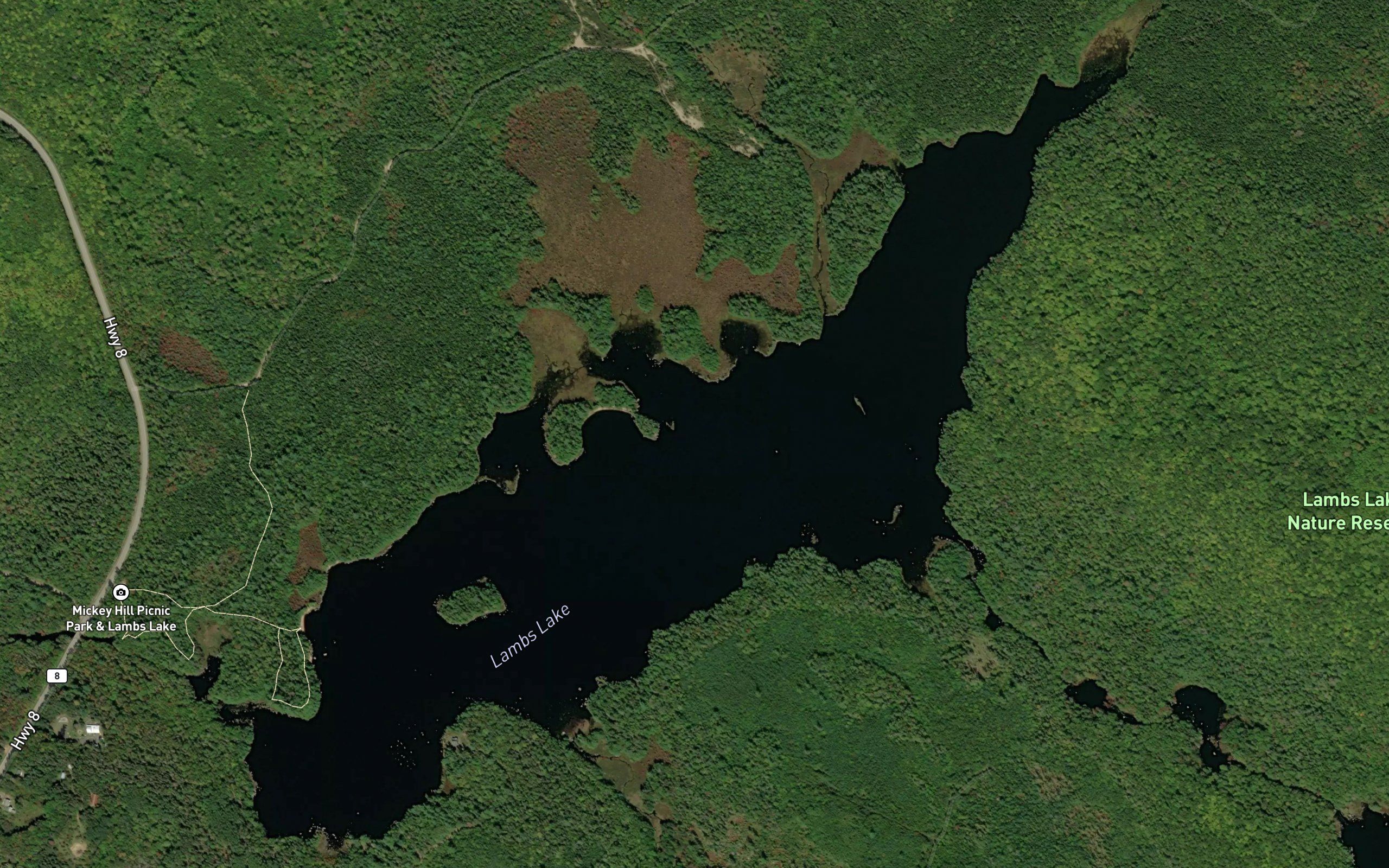 Lambs Lake