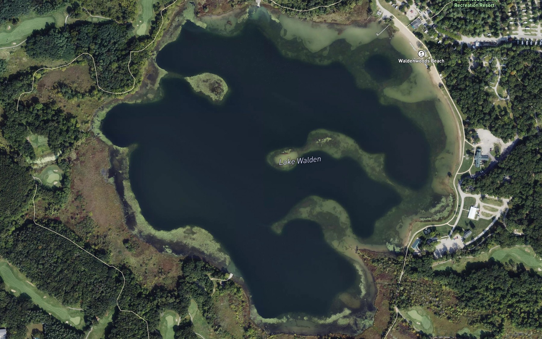 Satellite map of the Lake Walden