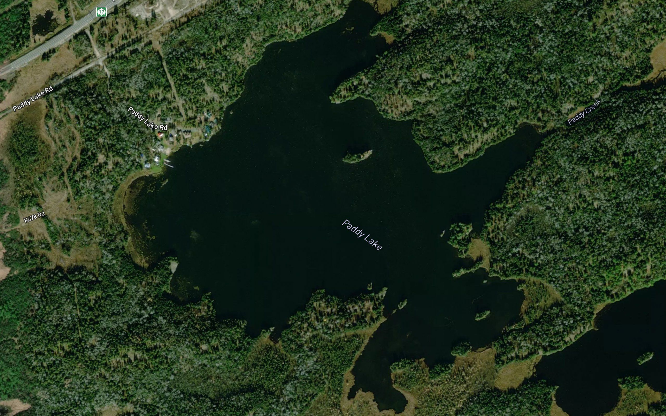 Paddy Lake
