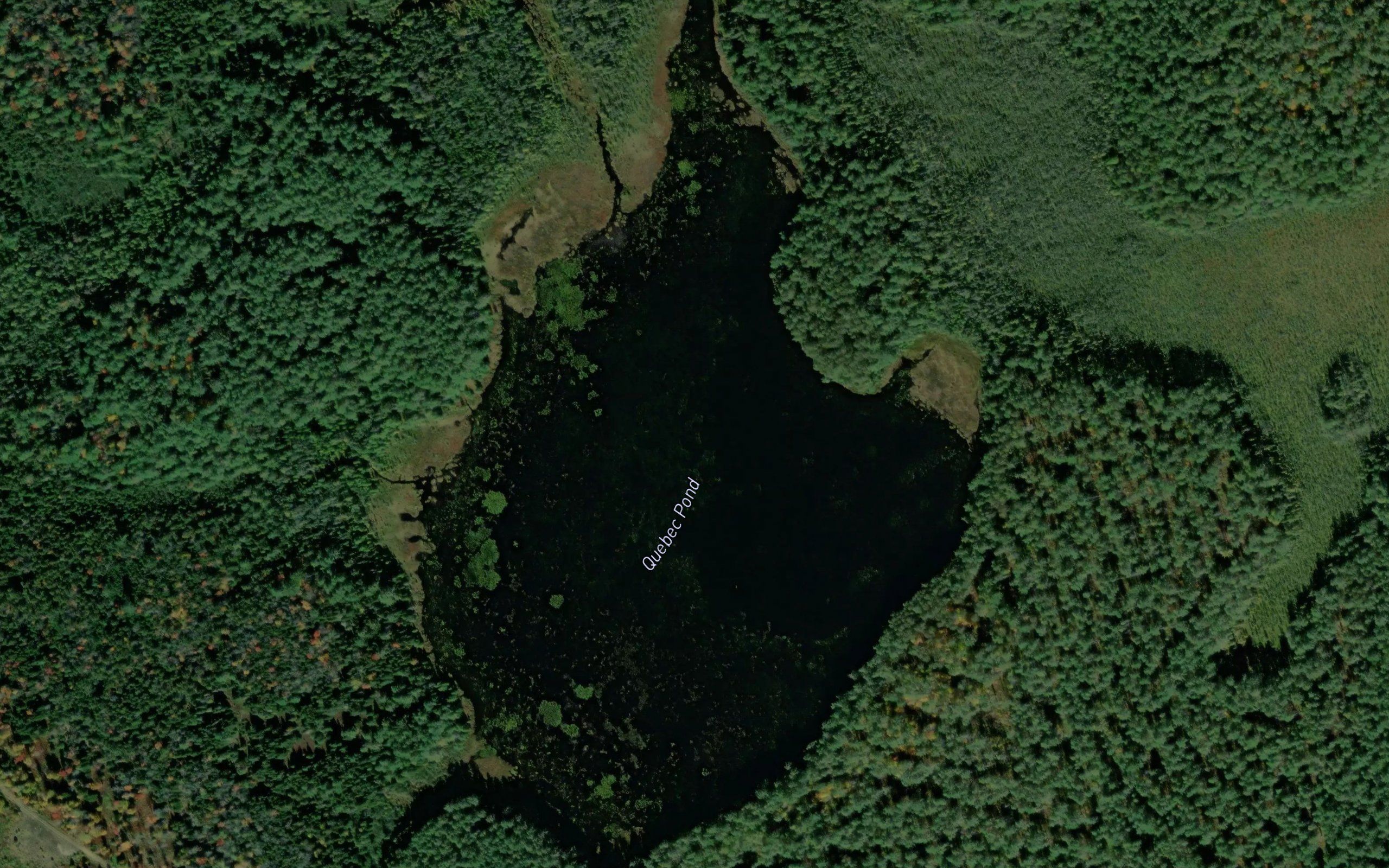 Quebec Pond
