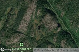 Hulletjenn