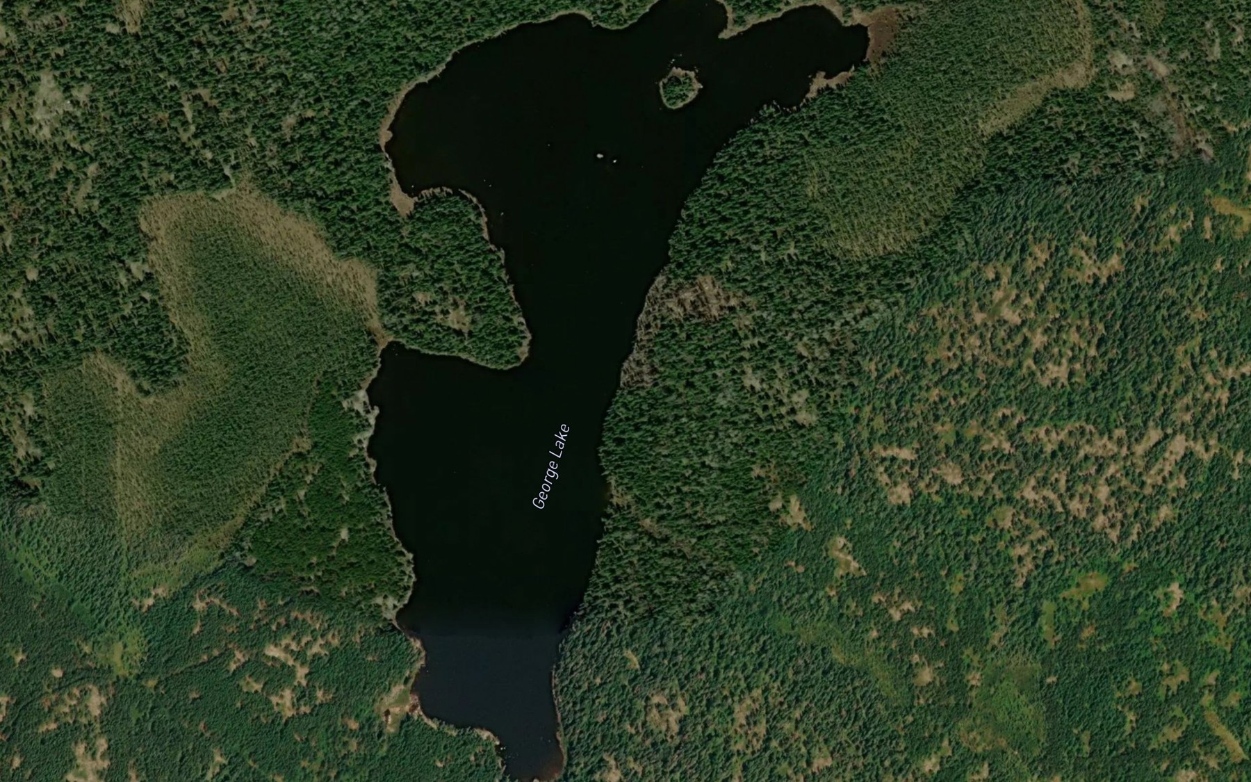Satellite map of the George Lake