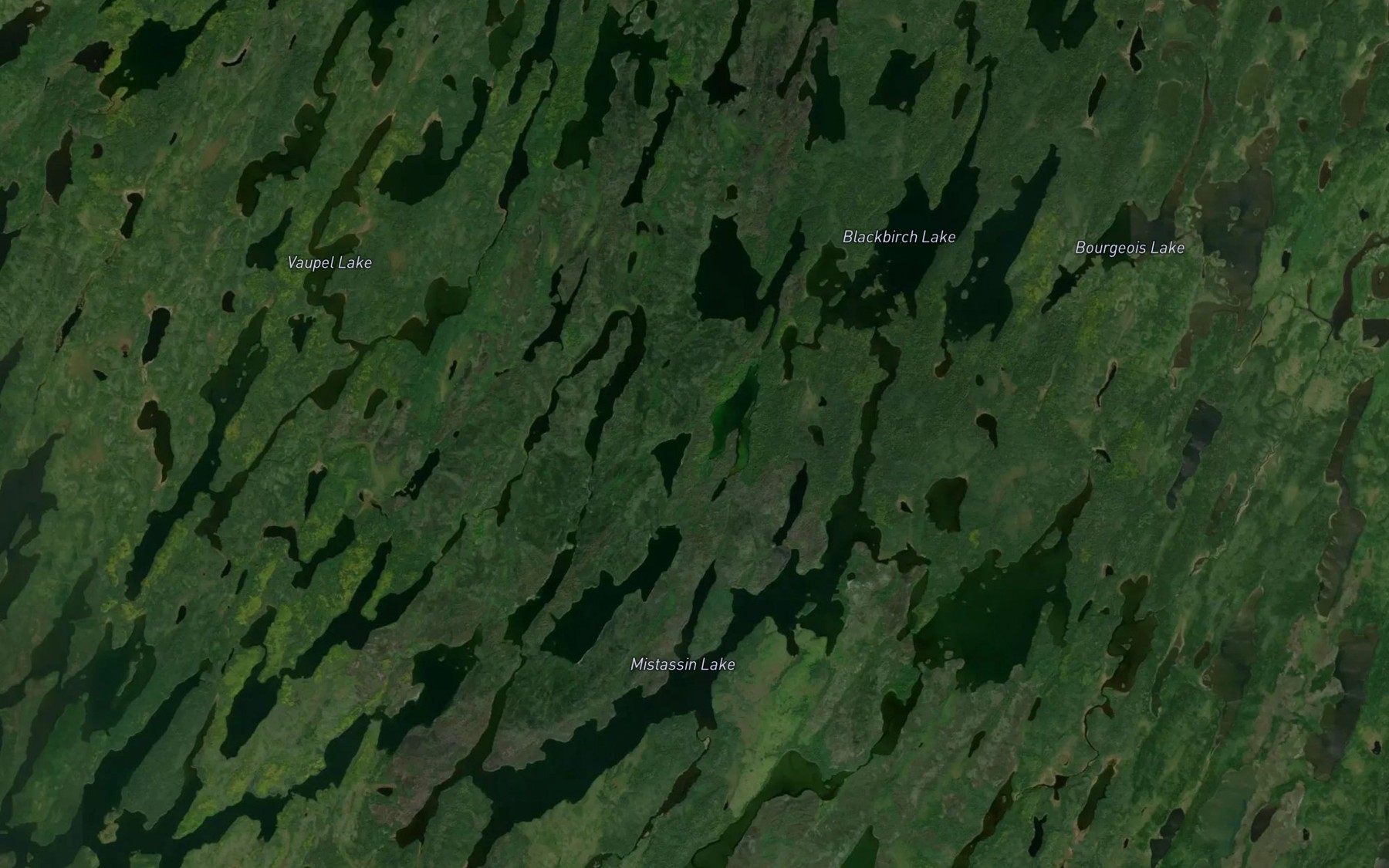 Satellite map of the Blackbirch Lake