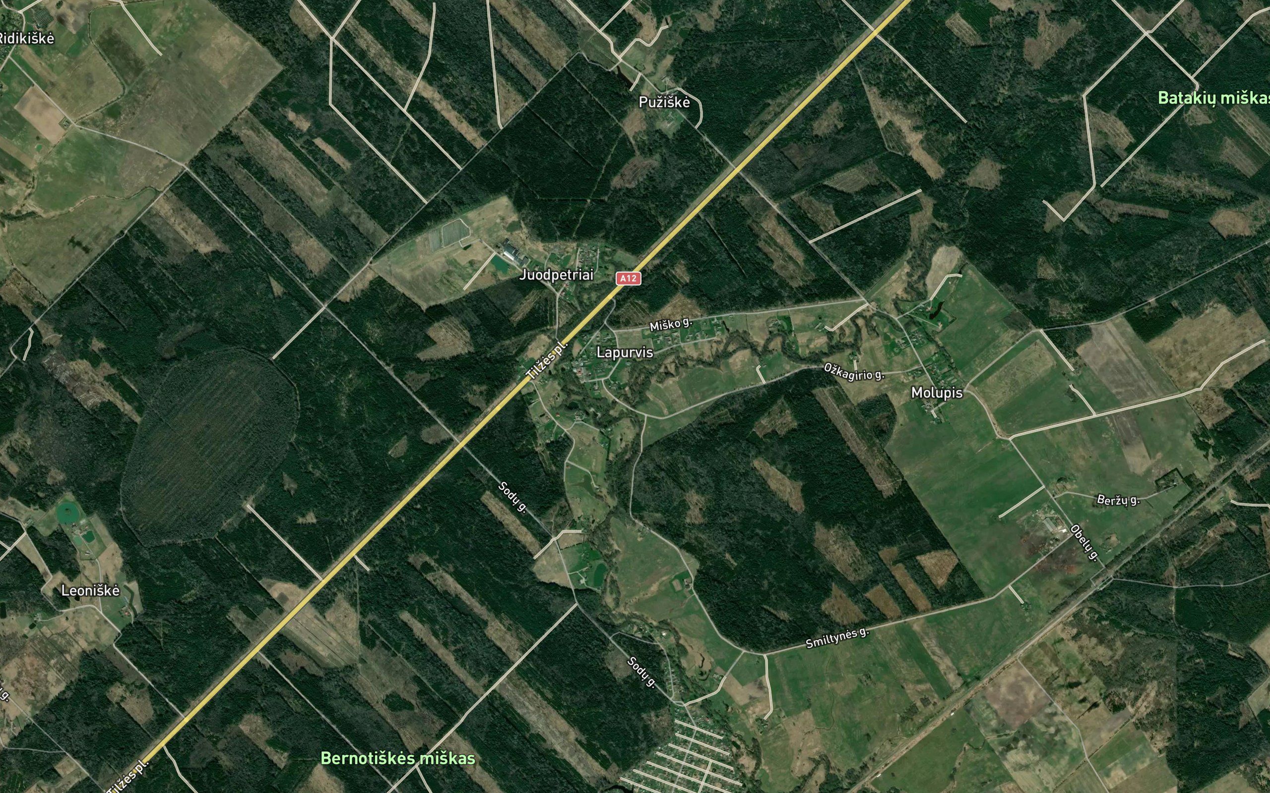 Agluona