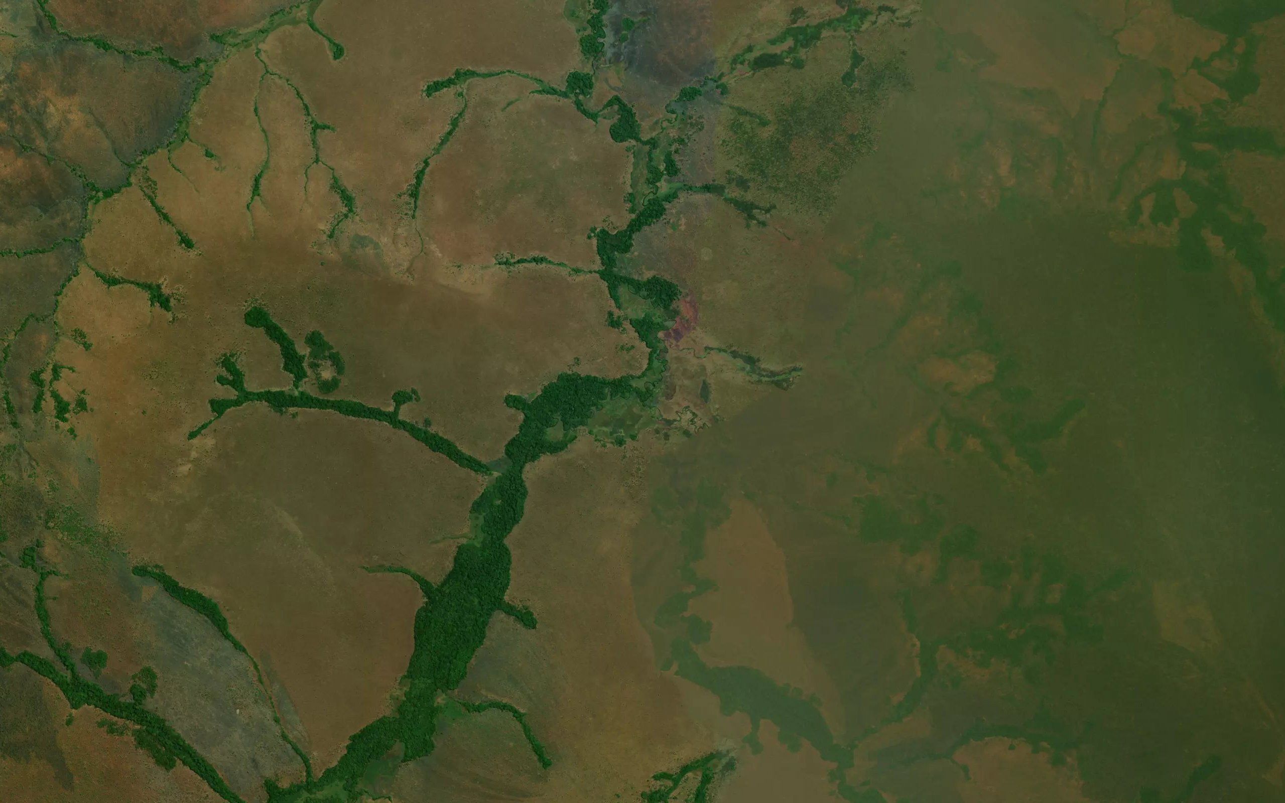 Kasombo