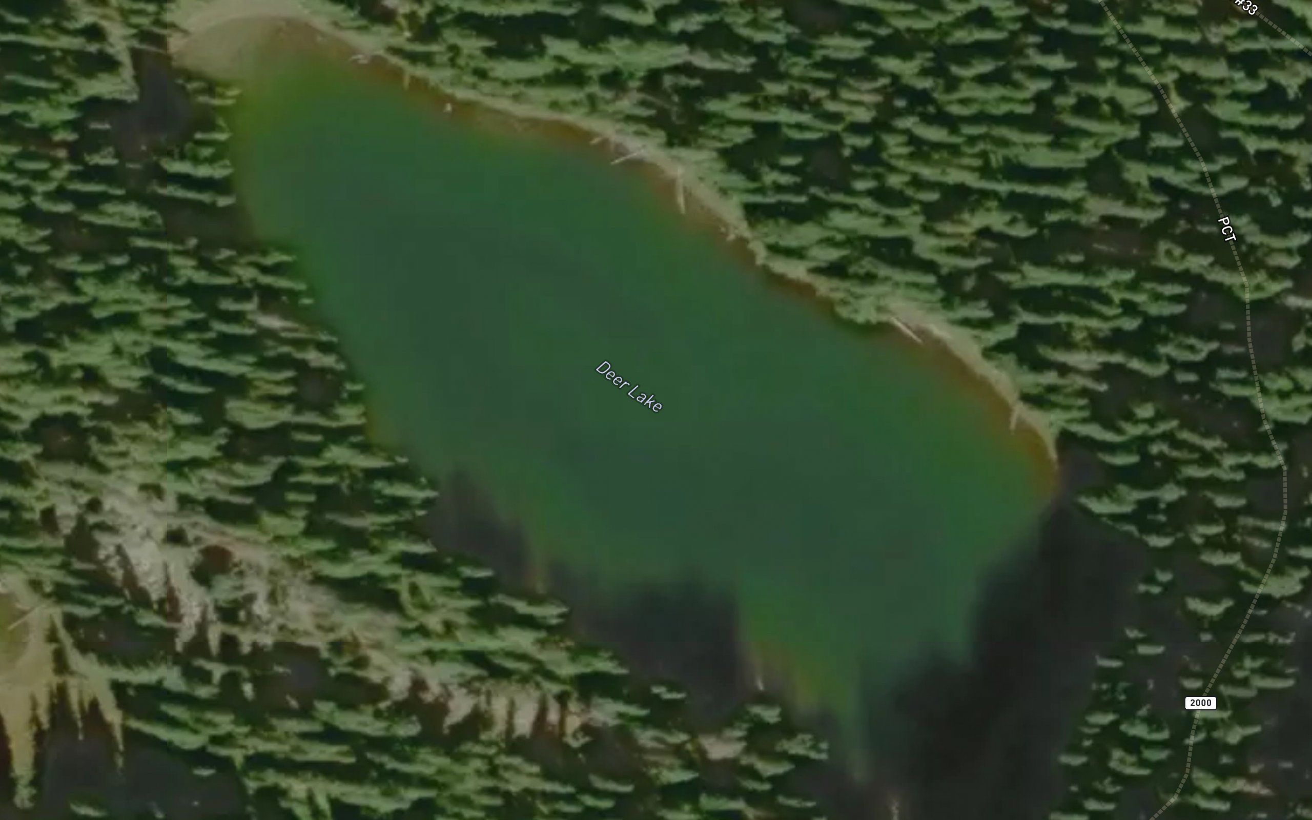 Deer Lake