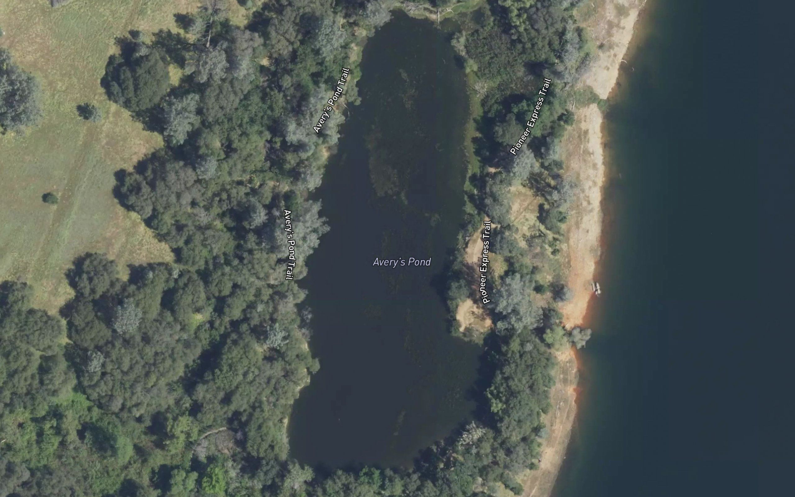 Averys Pond