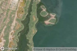 Ensenada Los Musicos