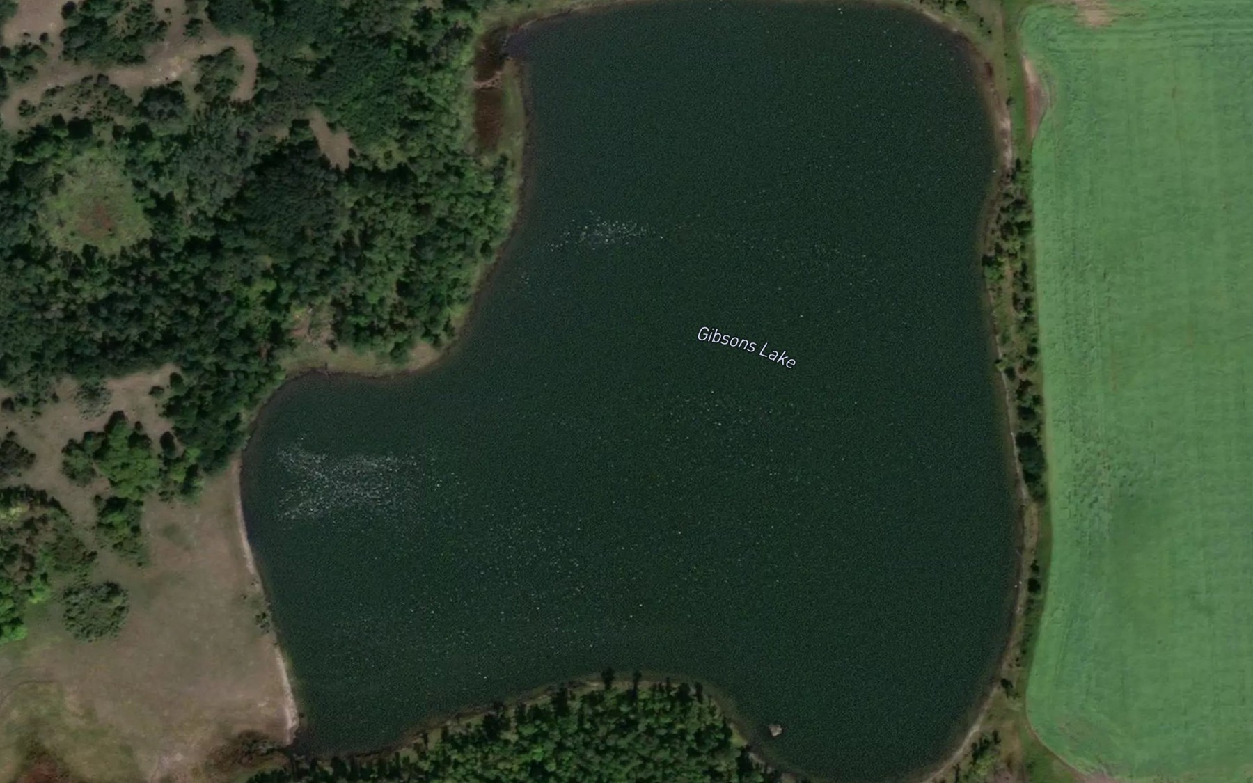 Satellite map of the Gibsons Lake