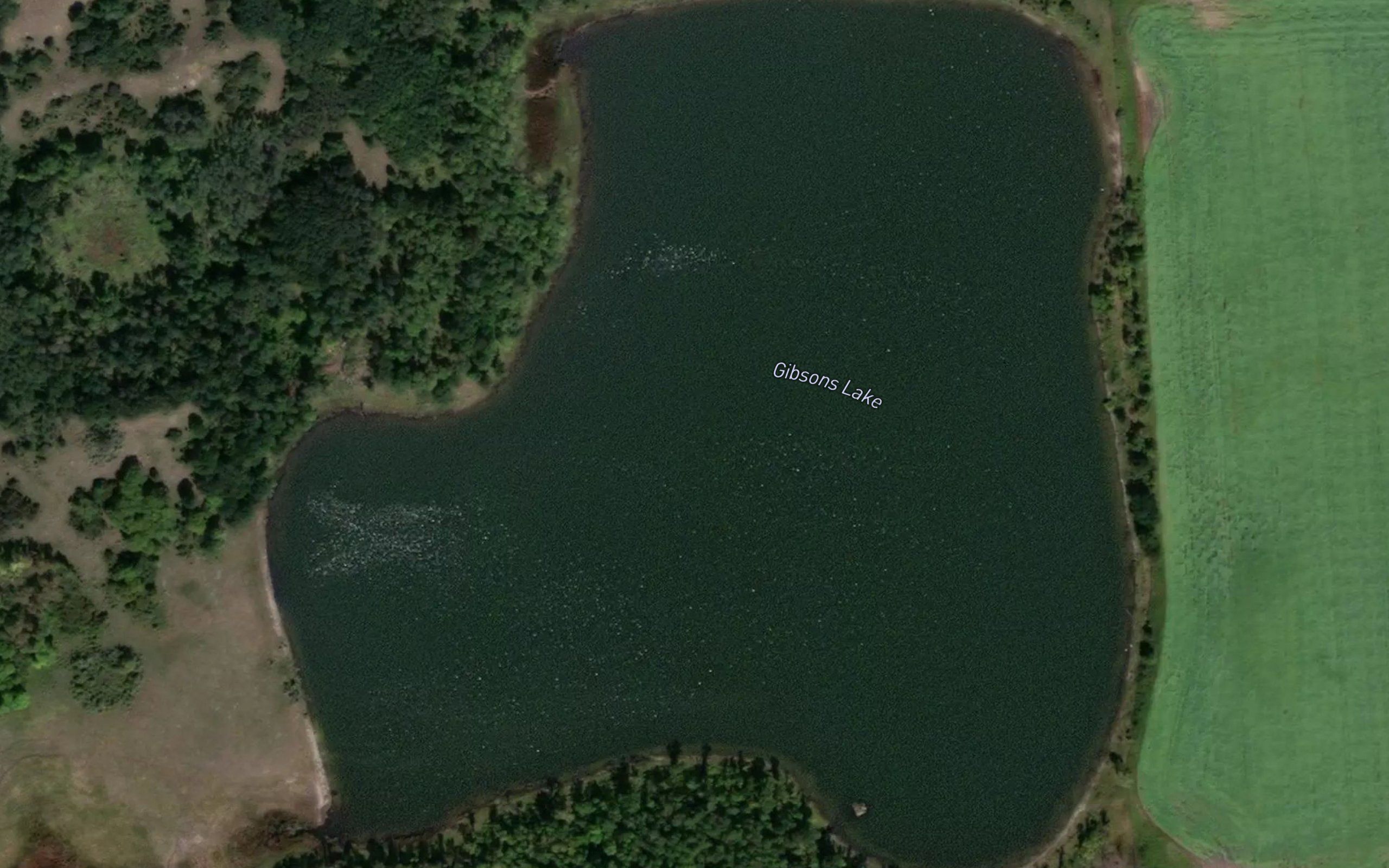 Gibsons Lake