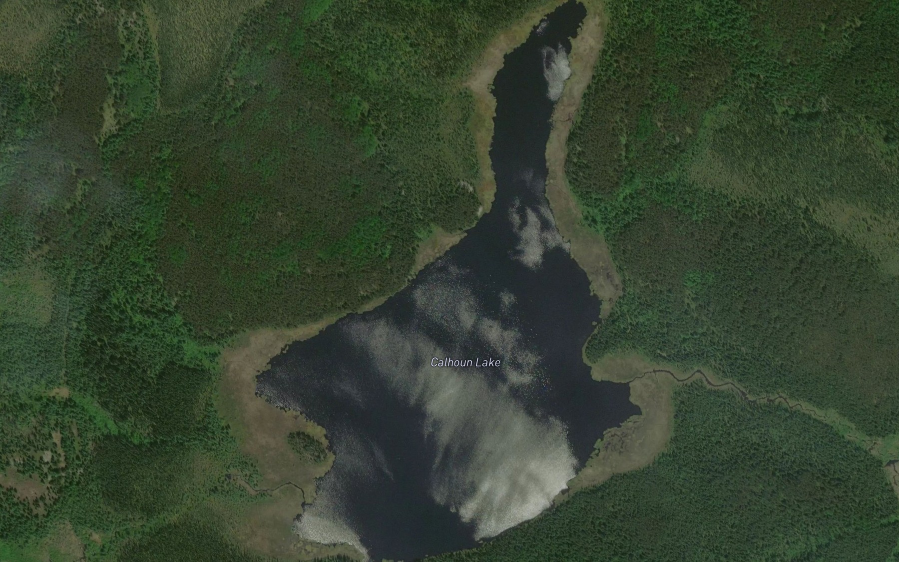Satellite map of the Calhoun Lake