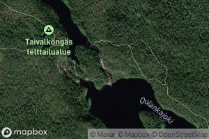 Taivalkongas
