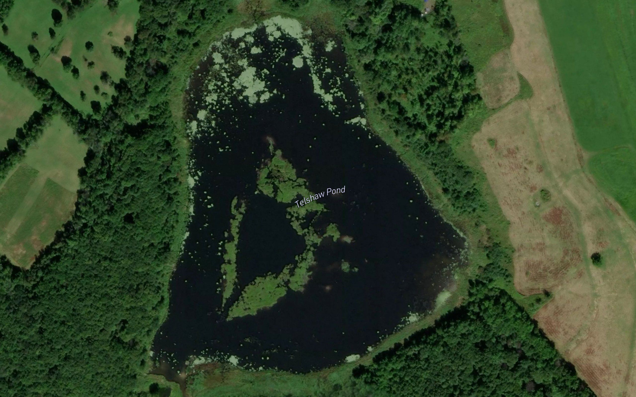 Telshaw Pond
