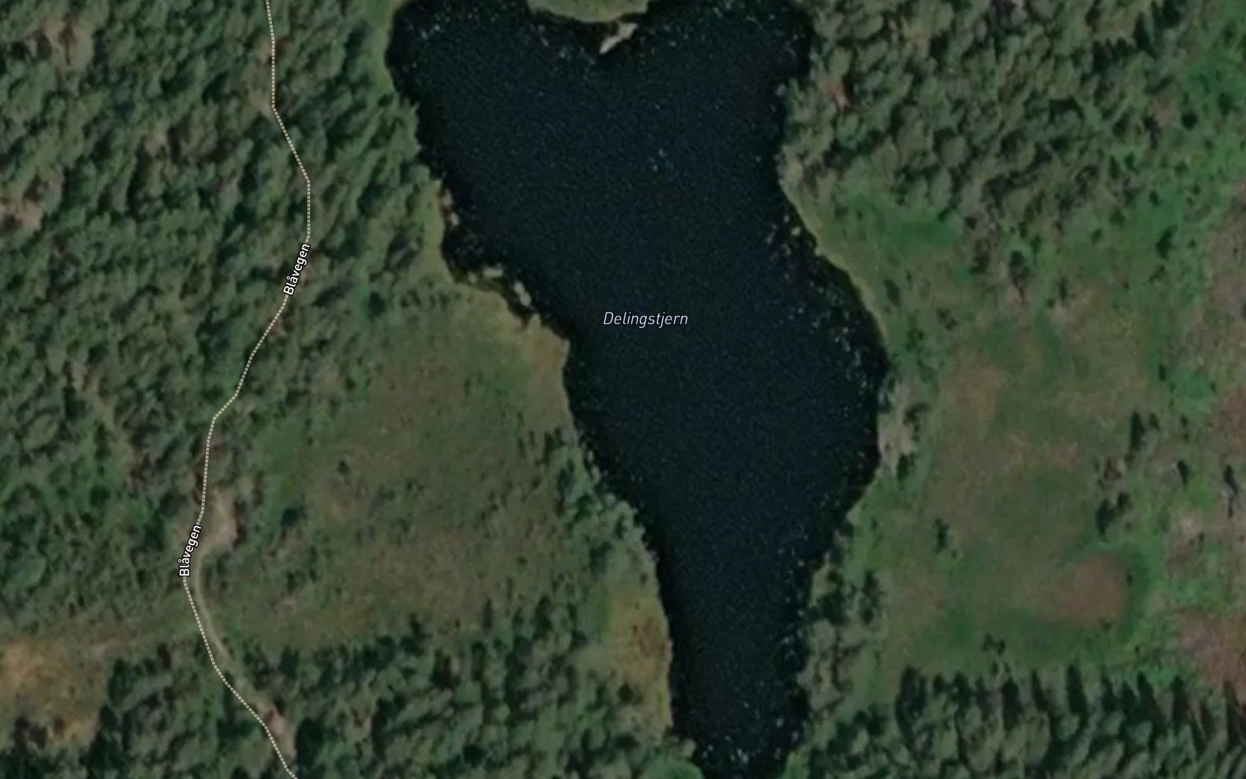 Delingstjern