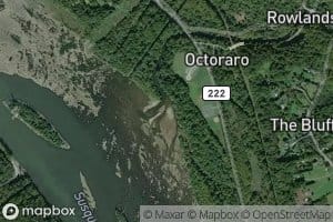 Octoraro Creek