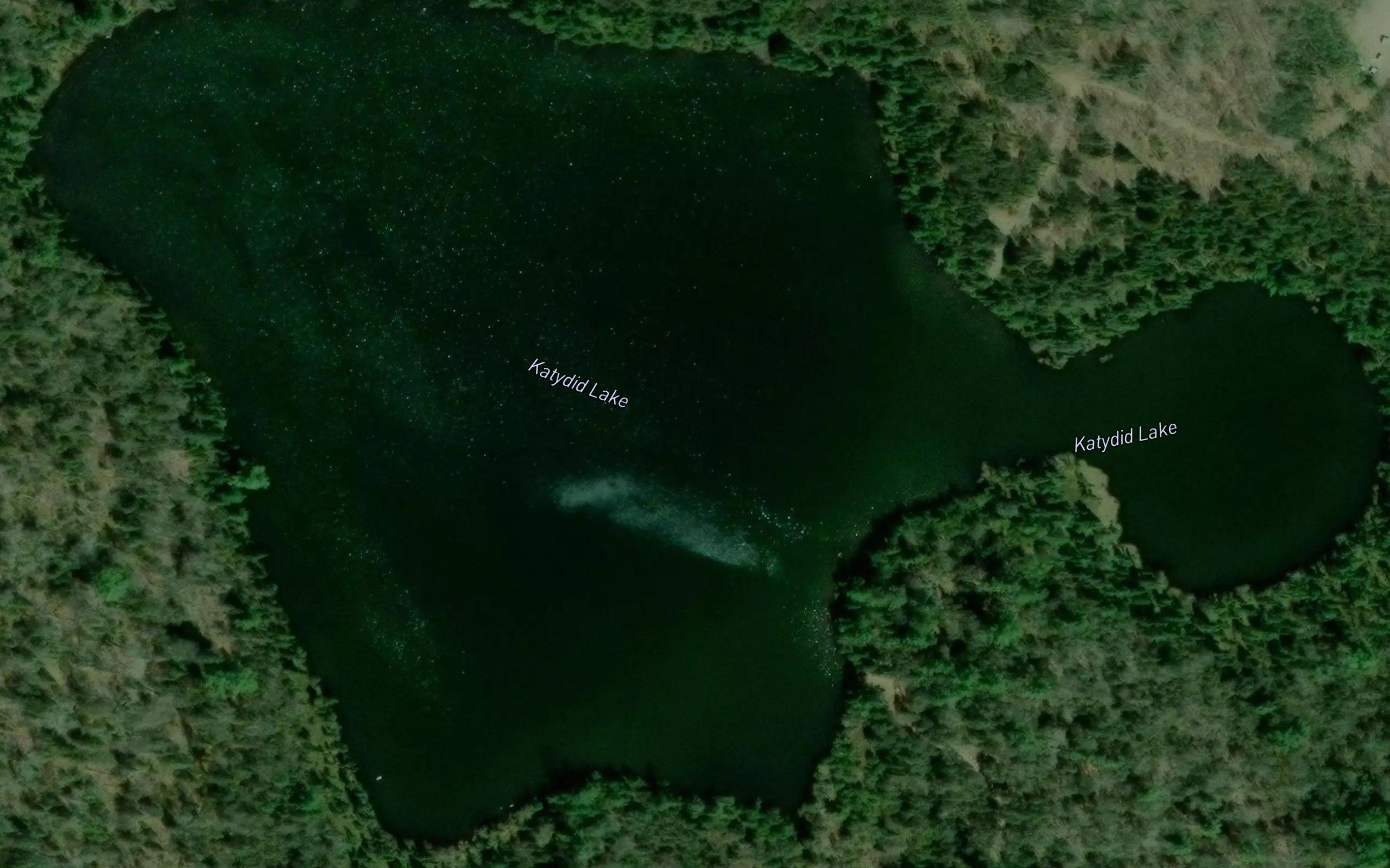Katydid Lake