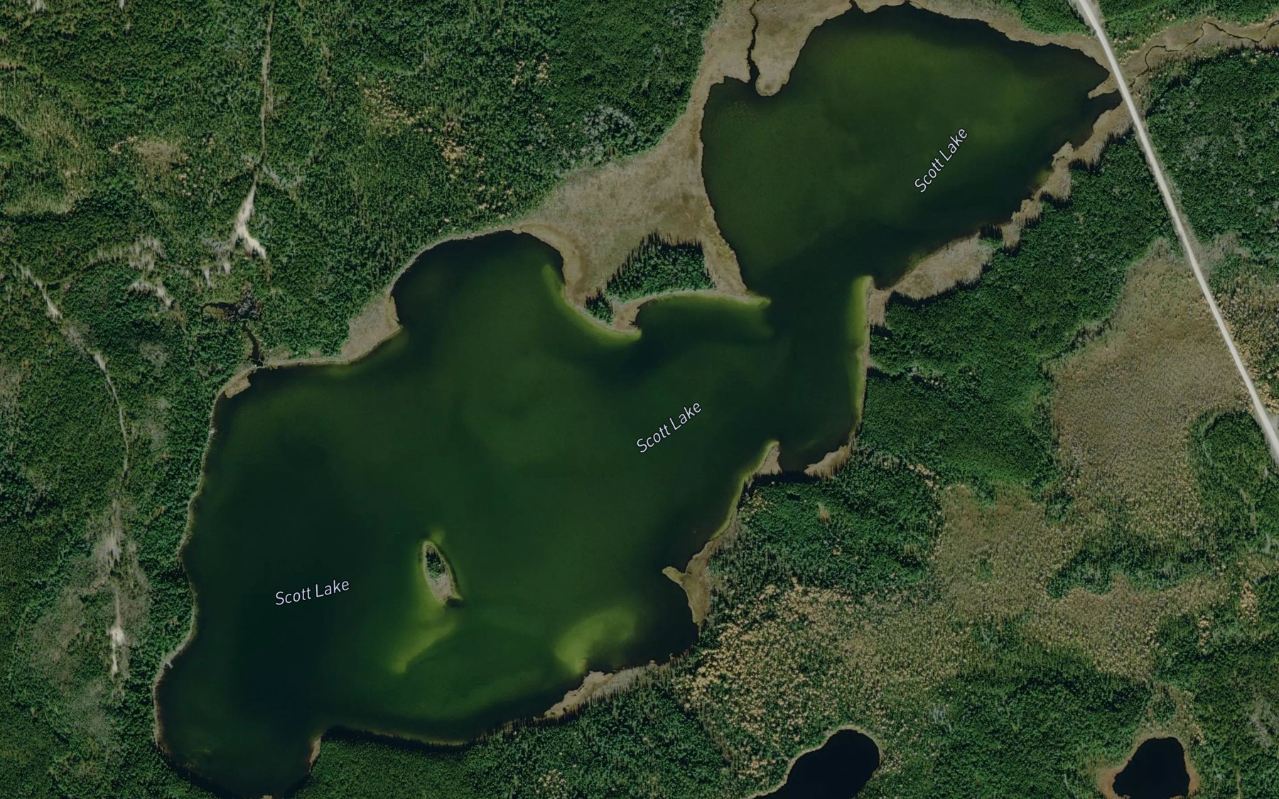 Satellite map of the Scott Lake
