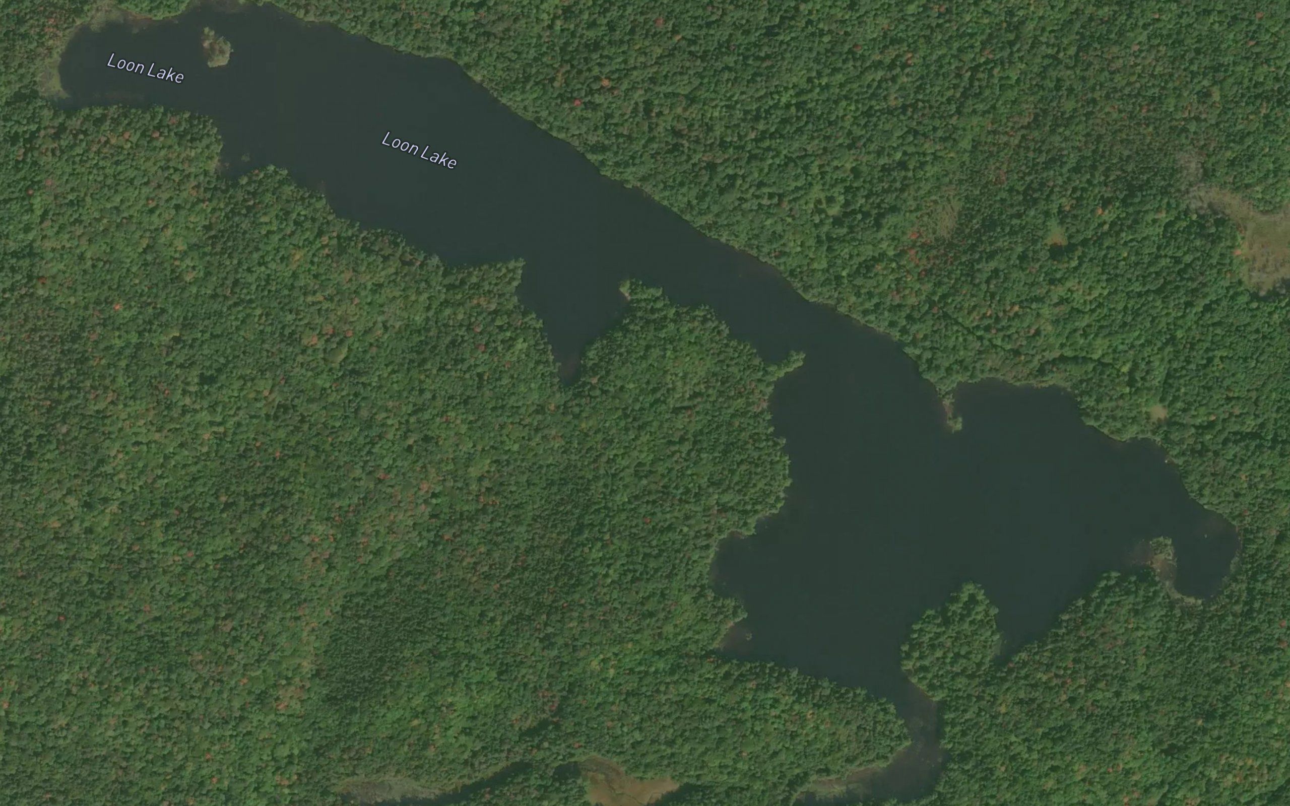Loon Lake