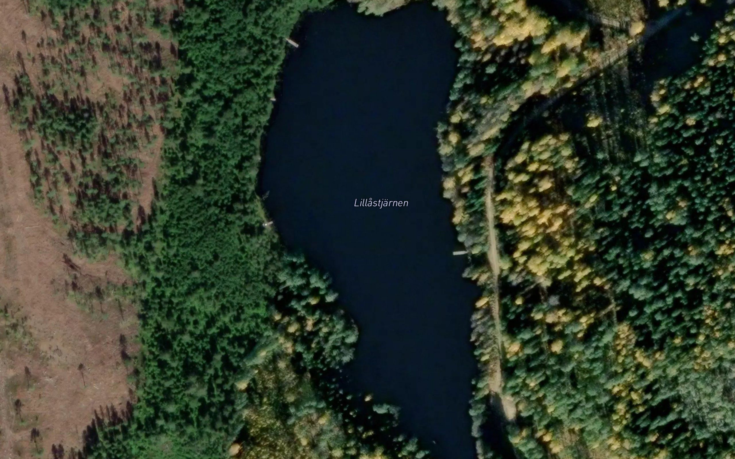 Lillastjaernen