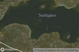 Suolujavri