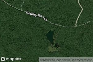 Camp Nine Pond