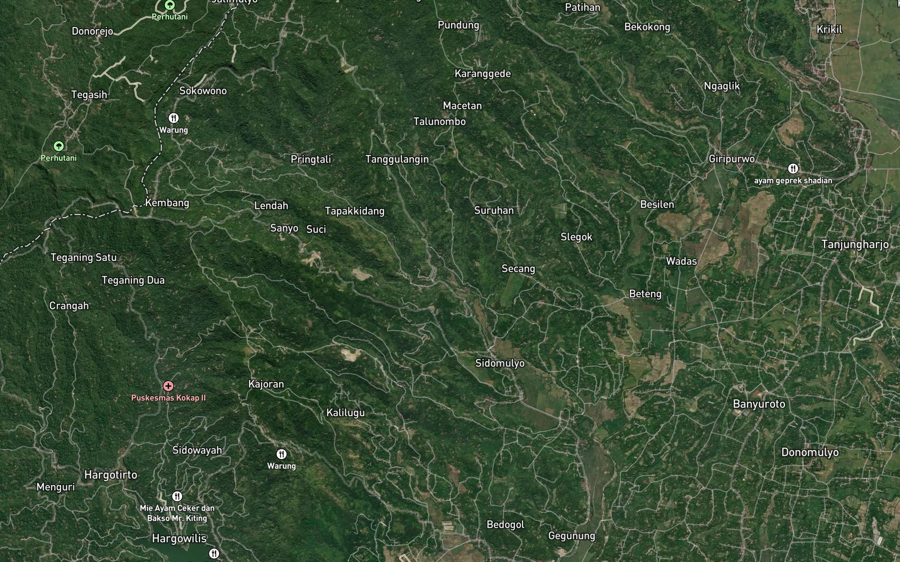 Satellite map of the Kali Tedunan