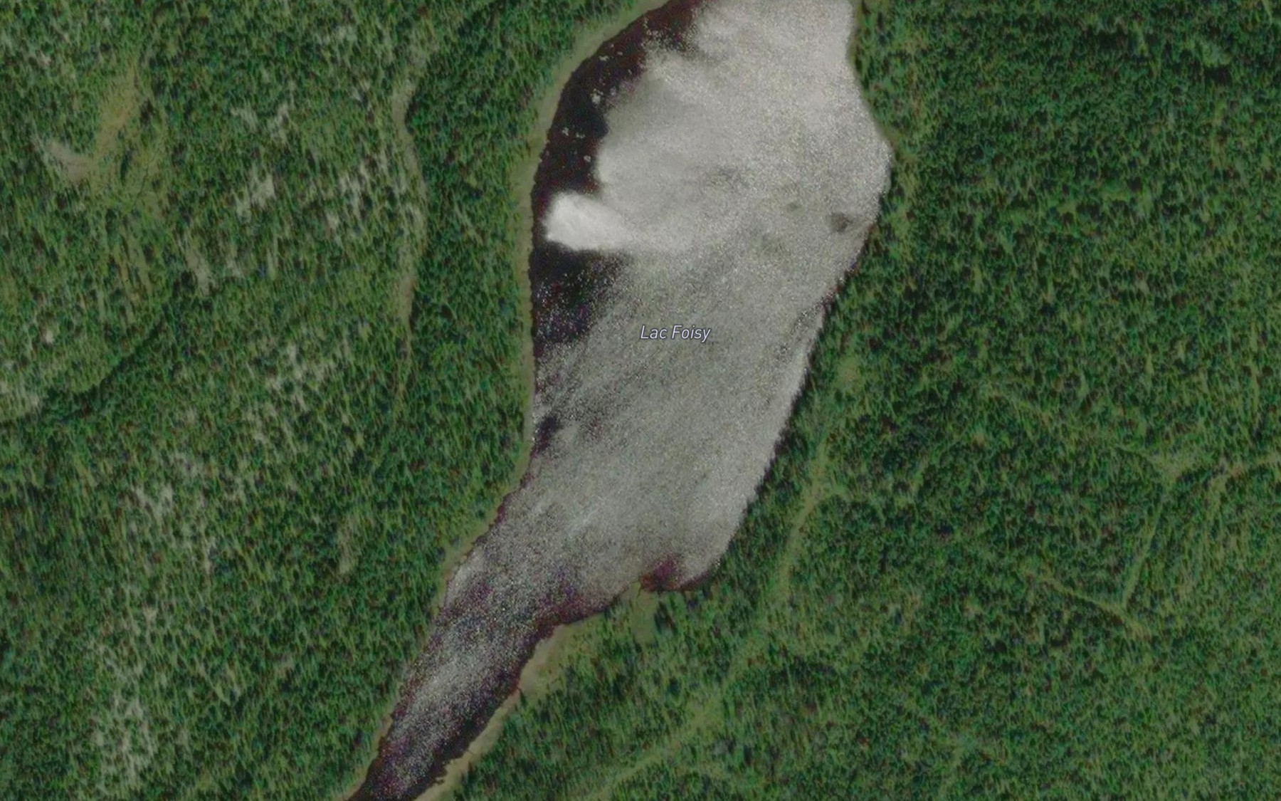 Satellite map of the Lac Foisy