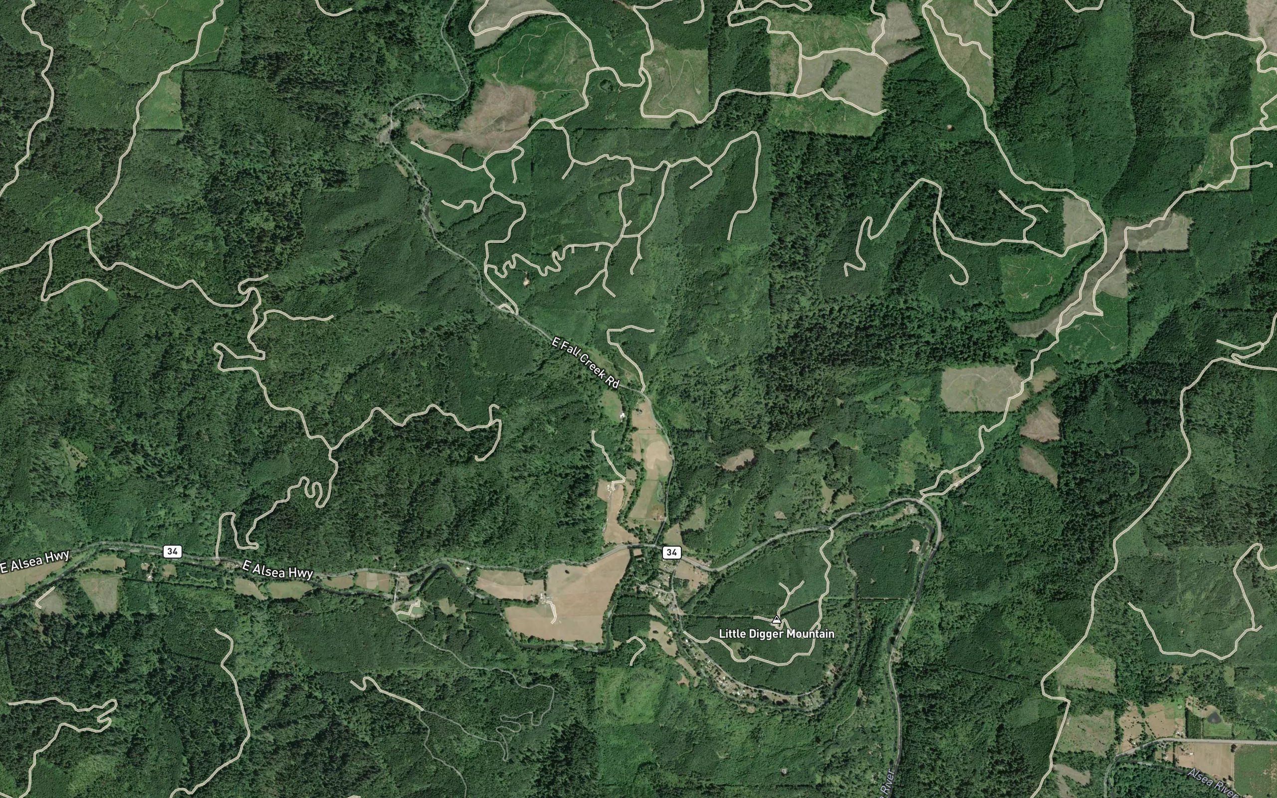Skunk Creek