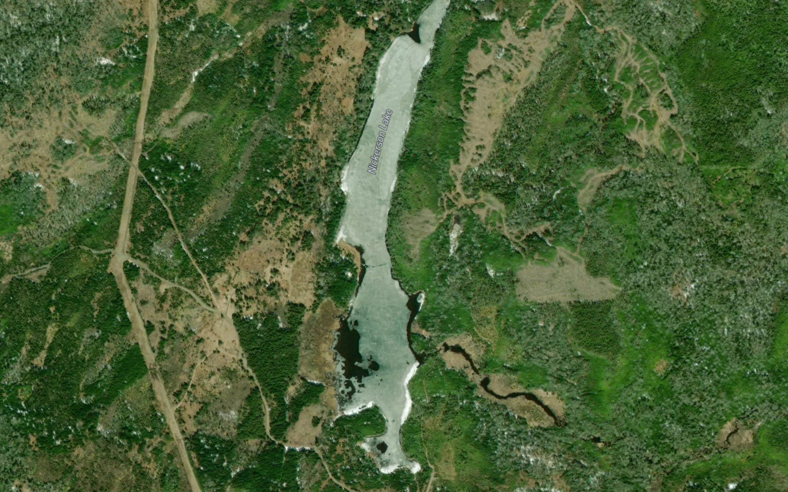 Nickerson Lake