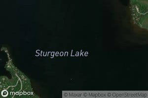 Sturgeon Lake