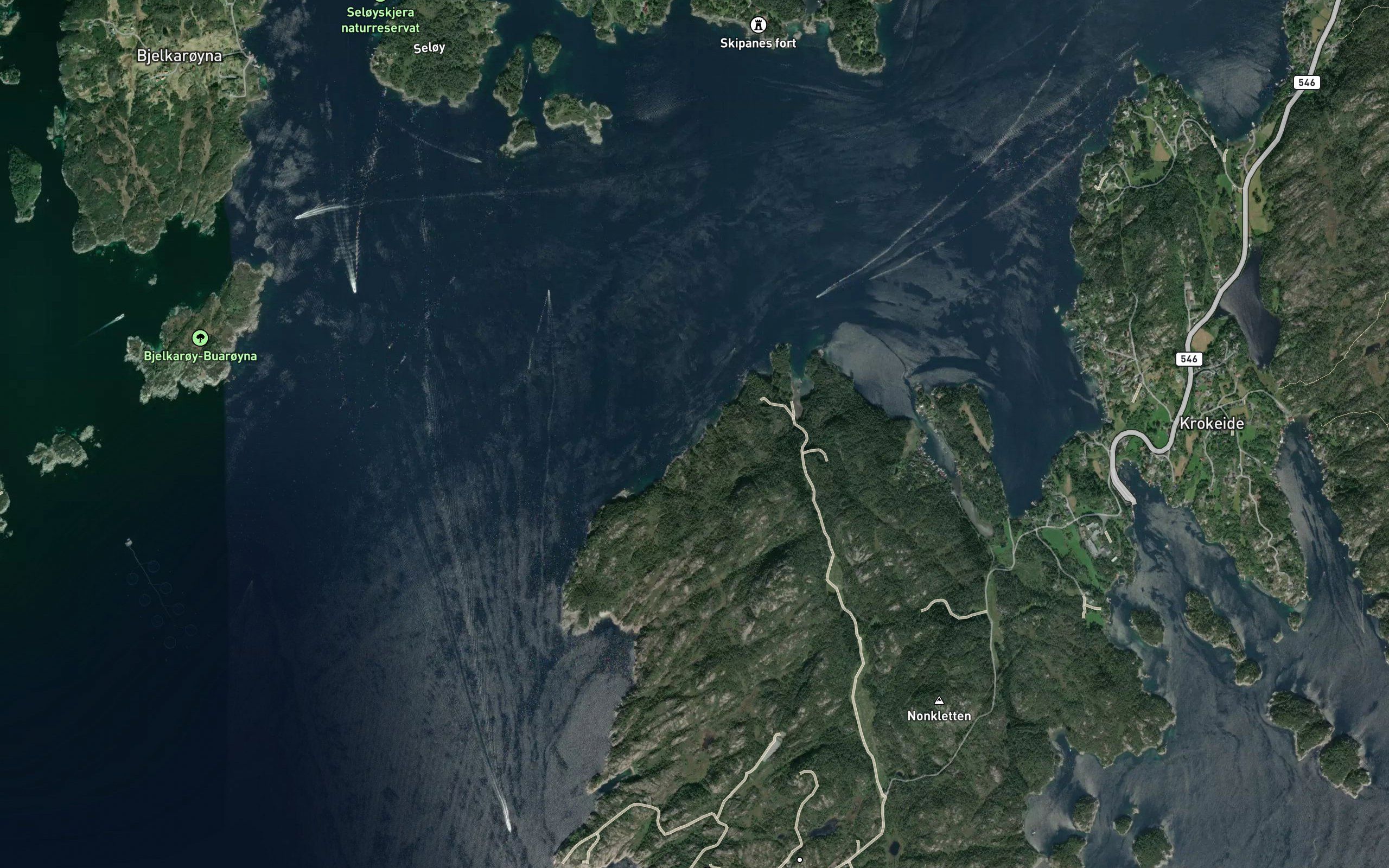 Moldvikane