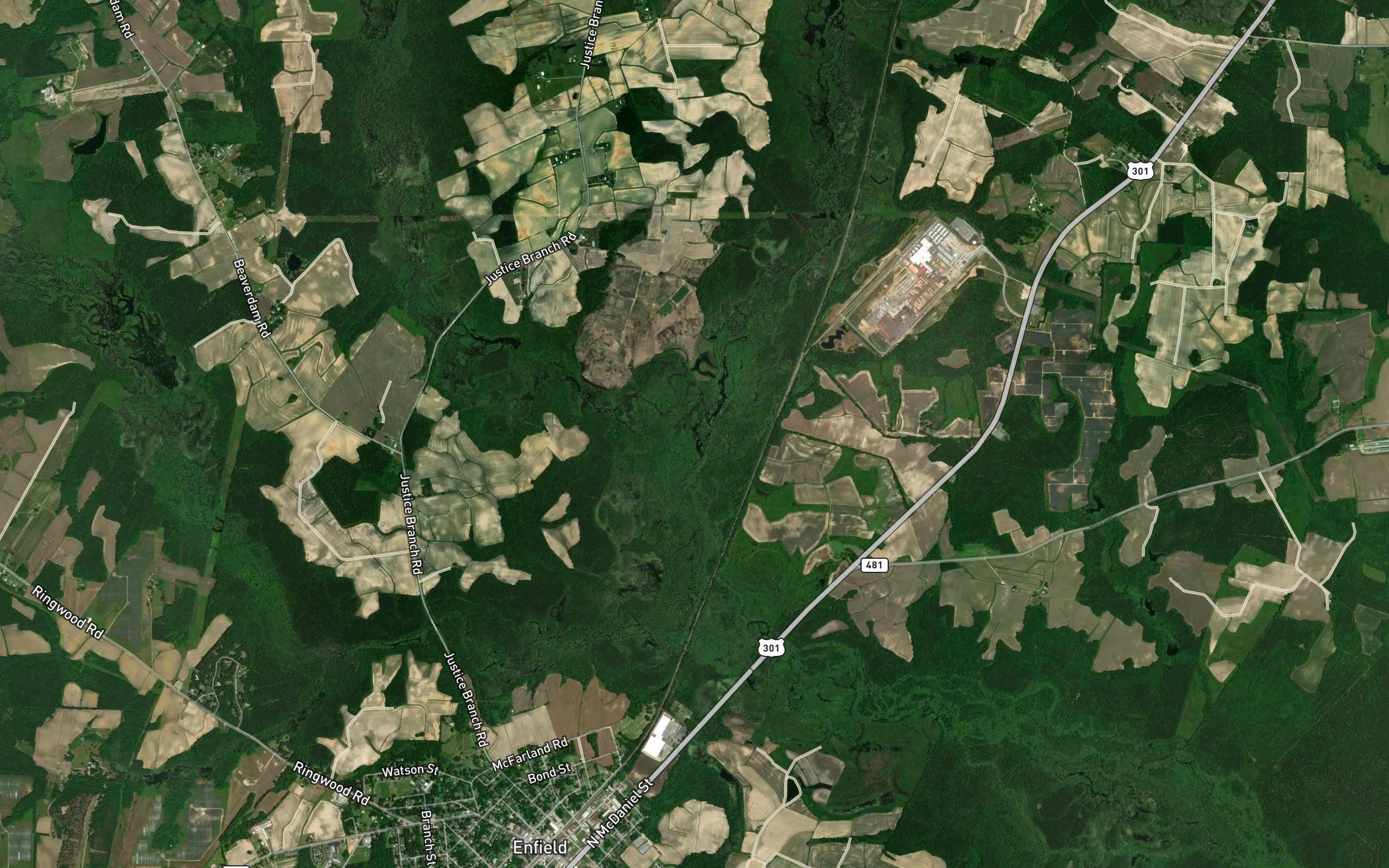 Beaverdam Swamp