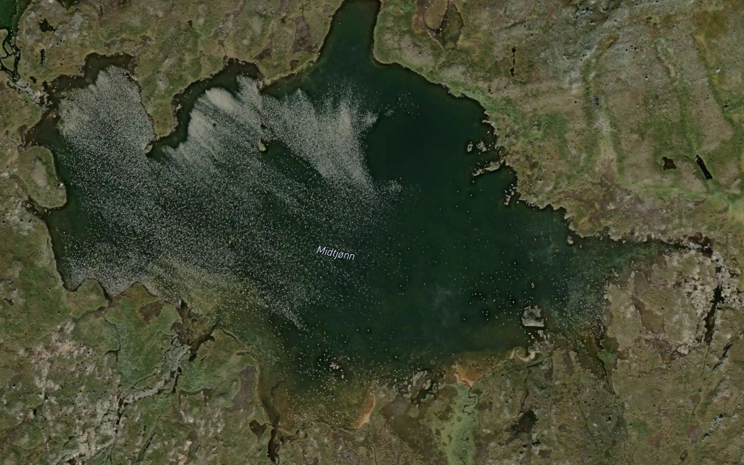 Midtjorn