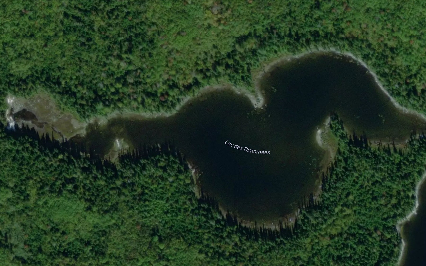 Satellite map of the Lac des Diatomees