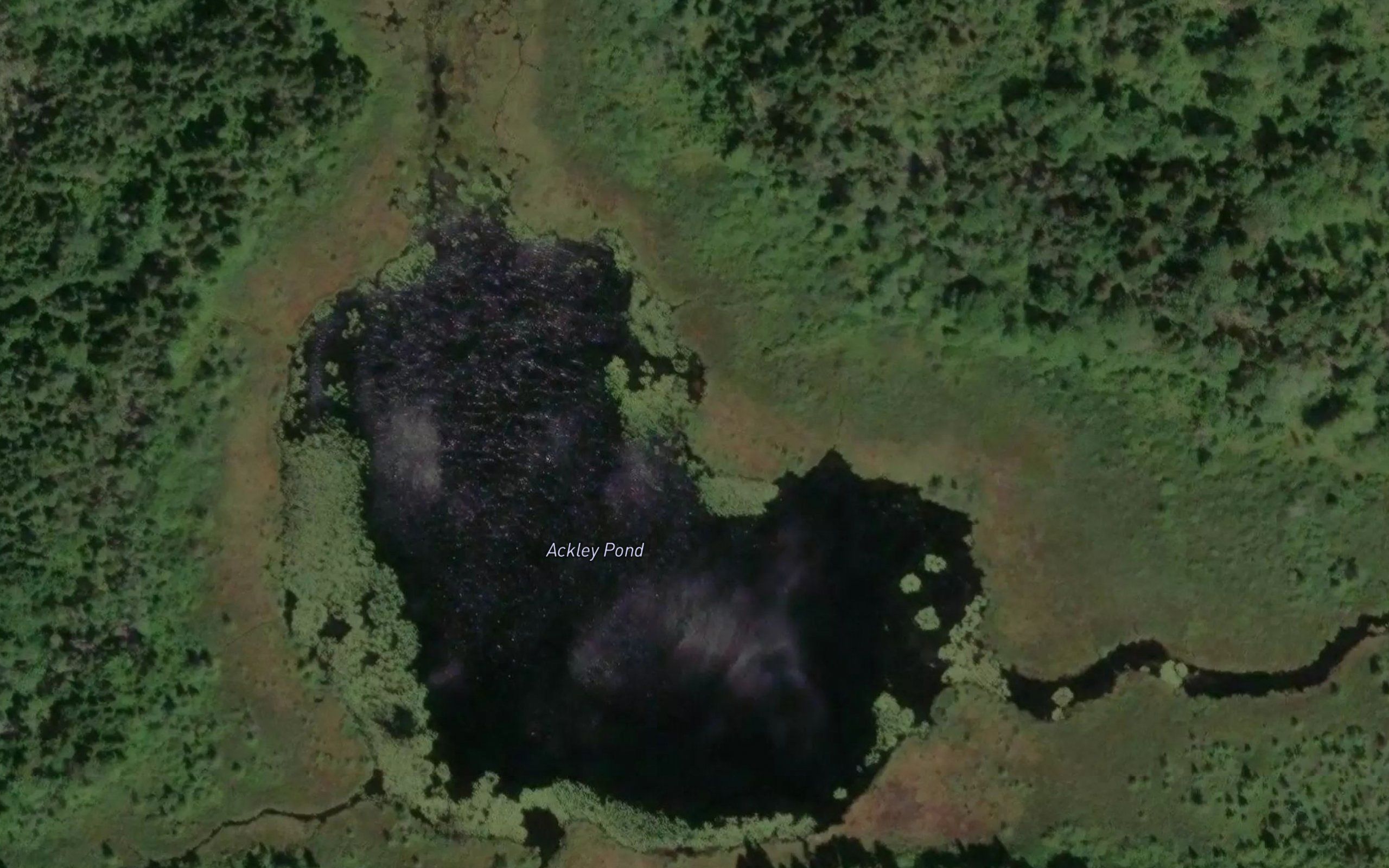 Ackley Pond