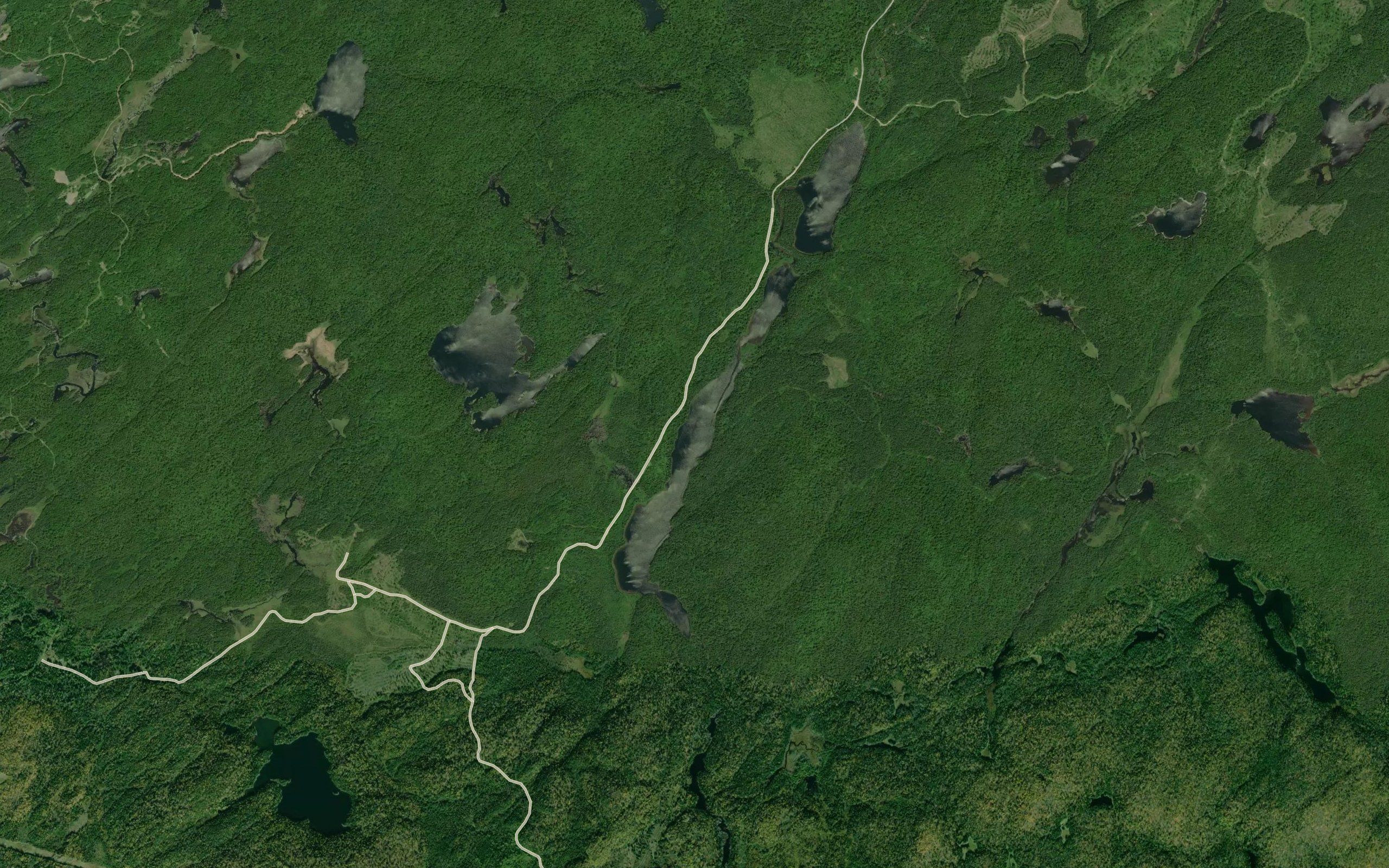 Leroy Lake