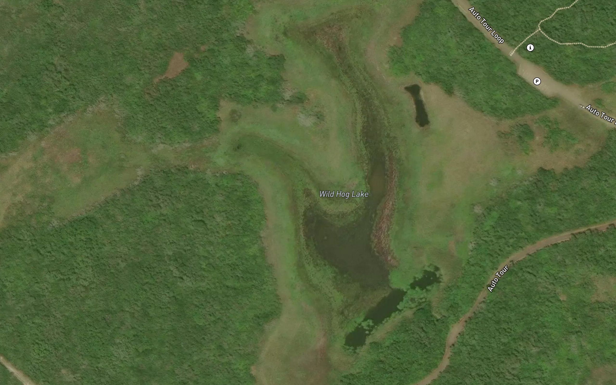 Wild Hog Lake