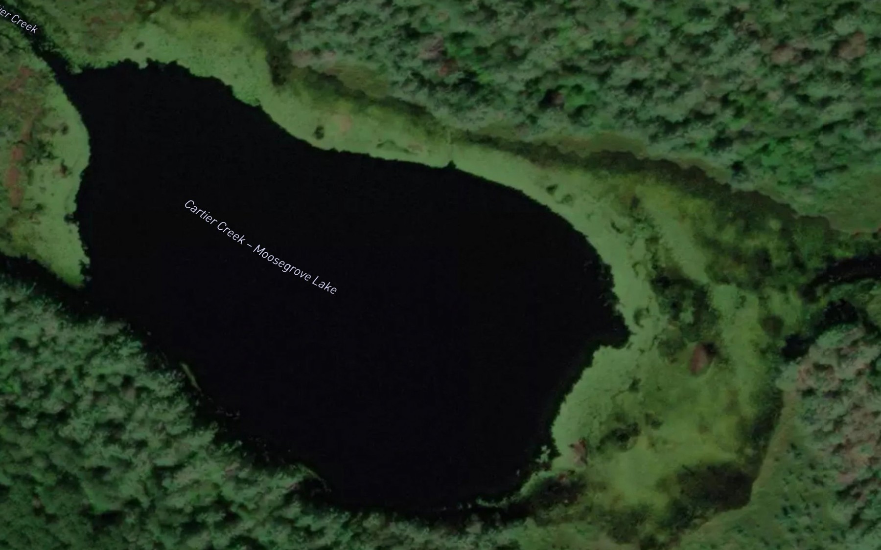 Satellite map of the Moosegrove Lake