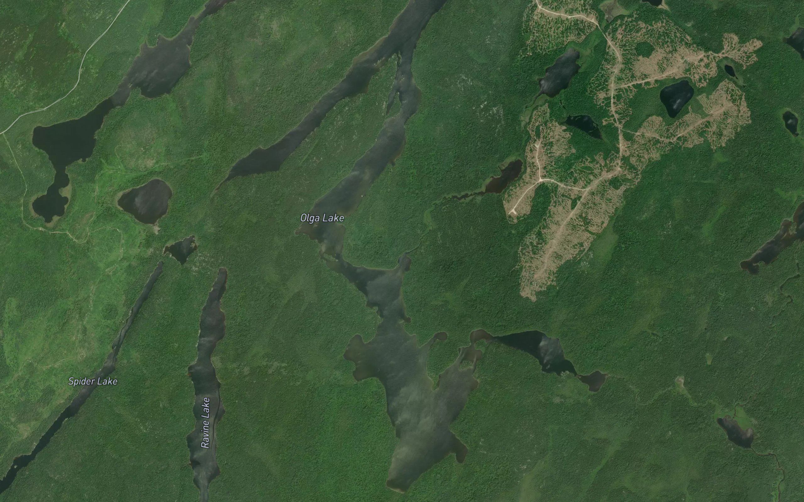 Olga Lake