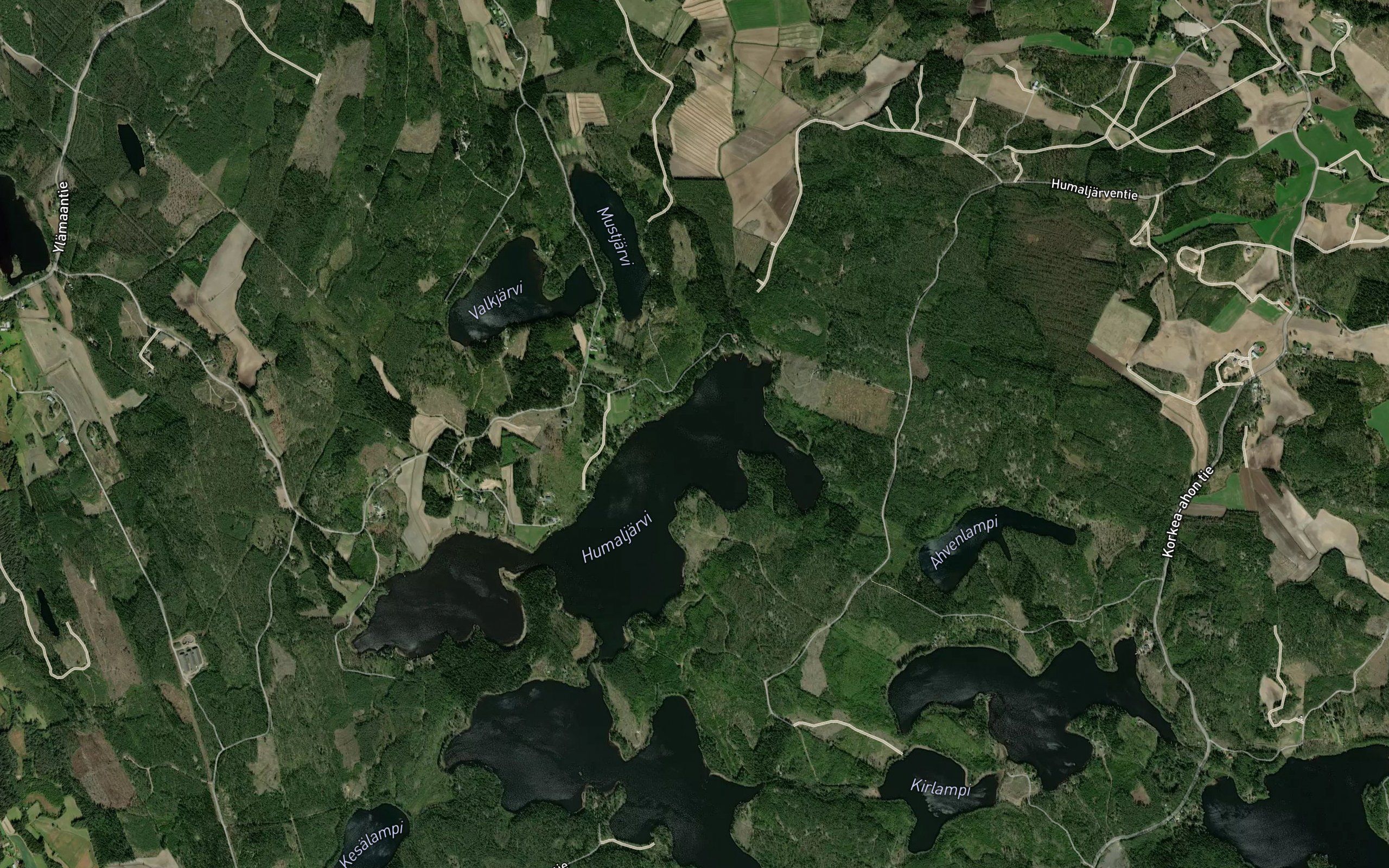 Kosenselka