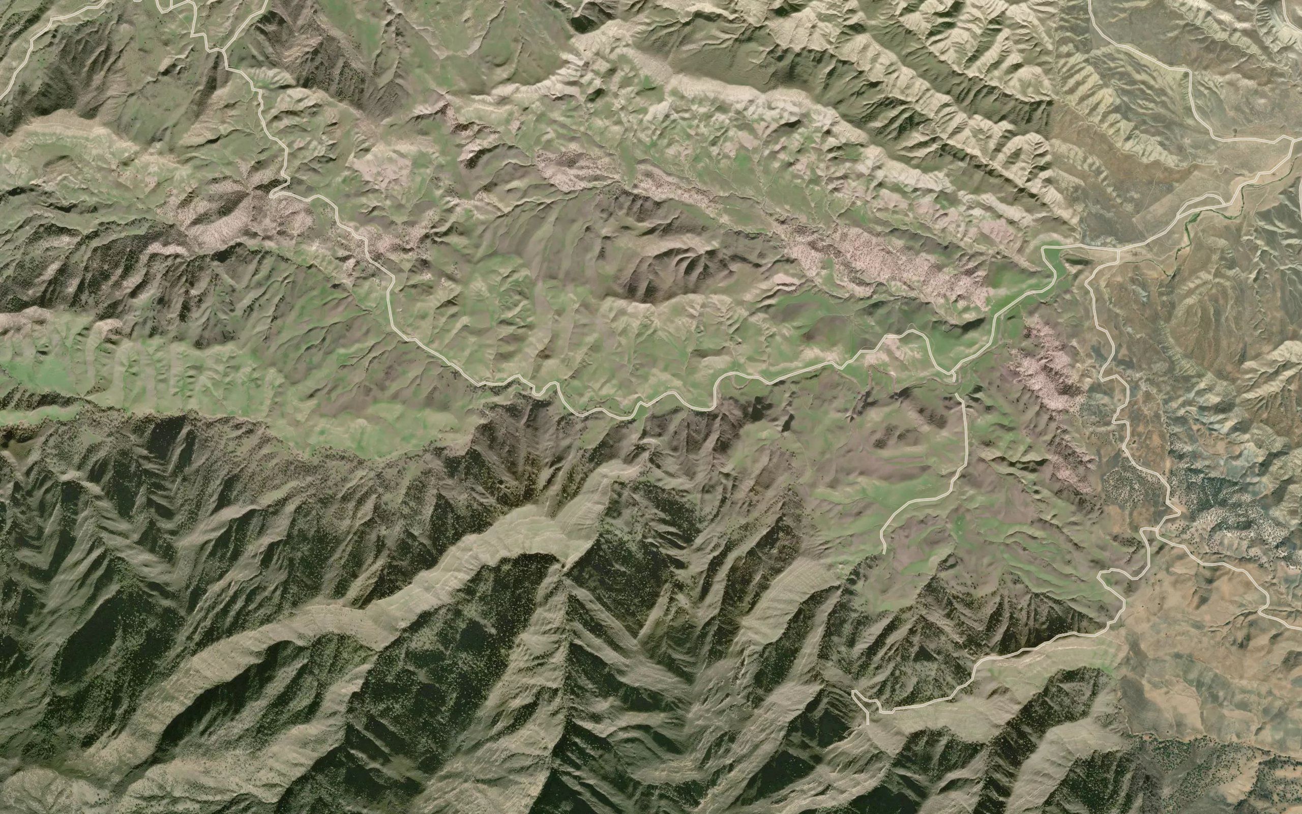 Arroyo Leona