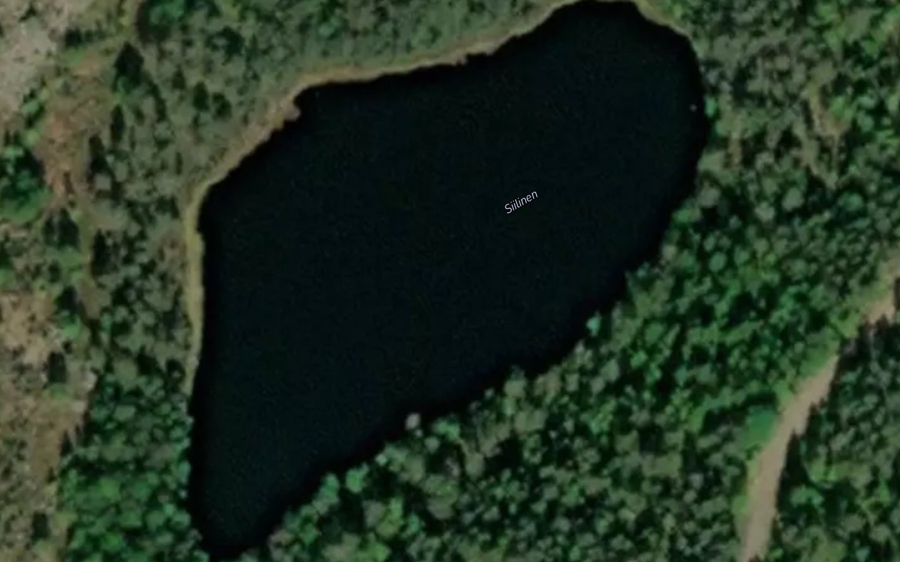 Satellite map of the Siilinen