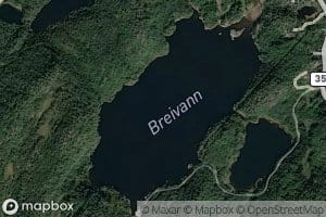 Breivann