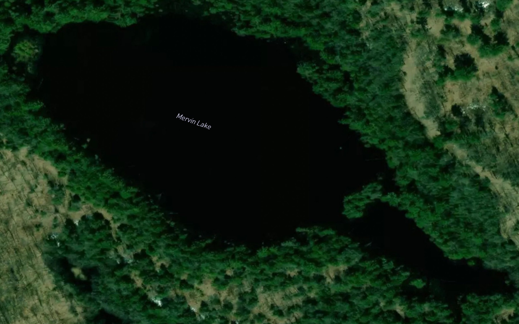 Satellite map of the Mervin Lake