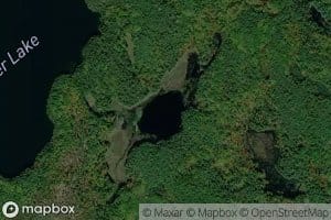Pogonia Lake