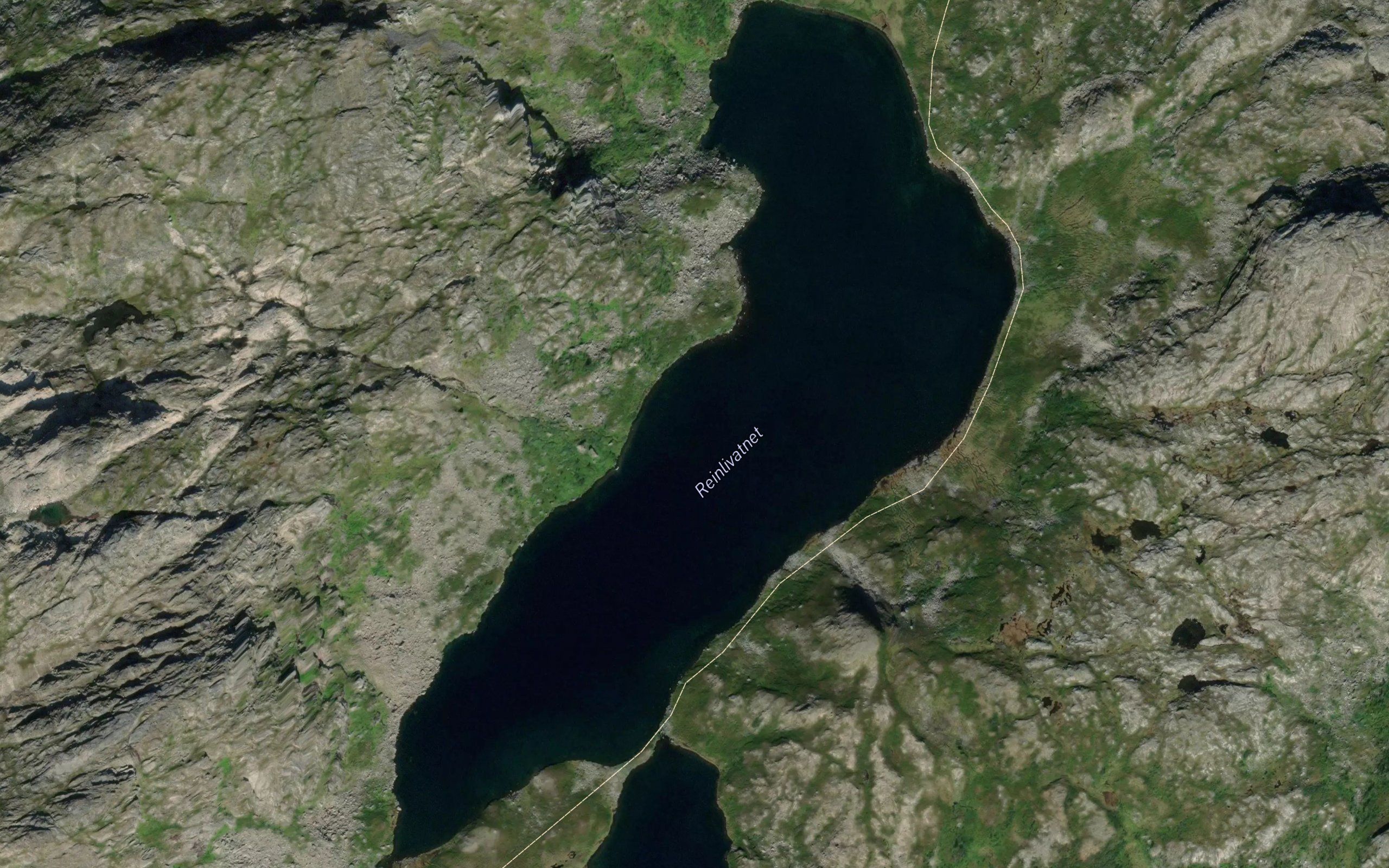 Reinlivatnet